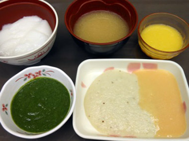 ミキサー食（学会分類：2-1）