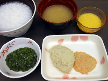 ブレンダー食（学会分類：2-2）
